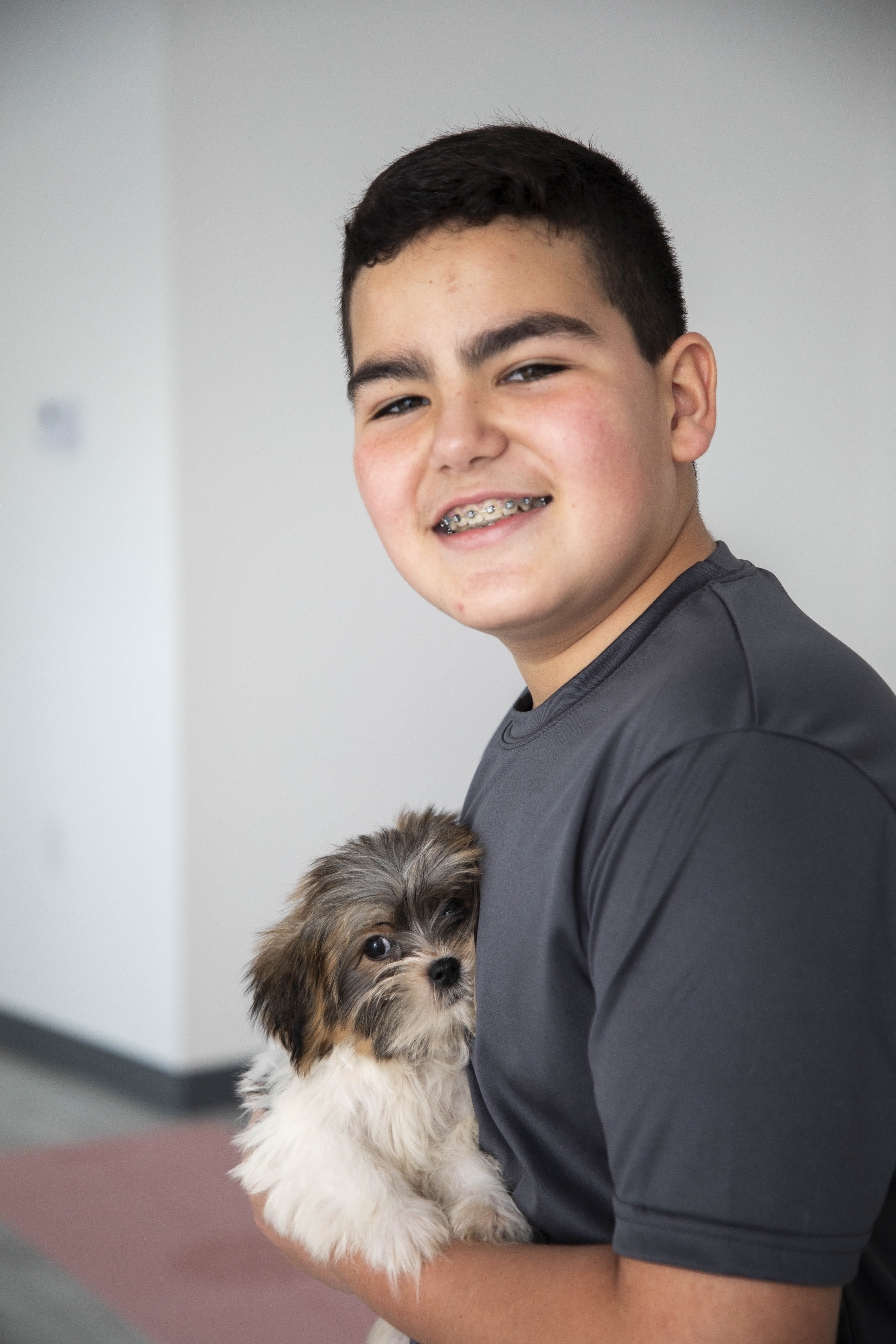 Person doing plank pose with Yorkshire Terrier puppy underneath