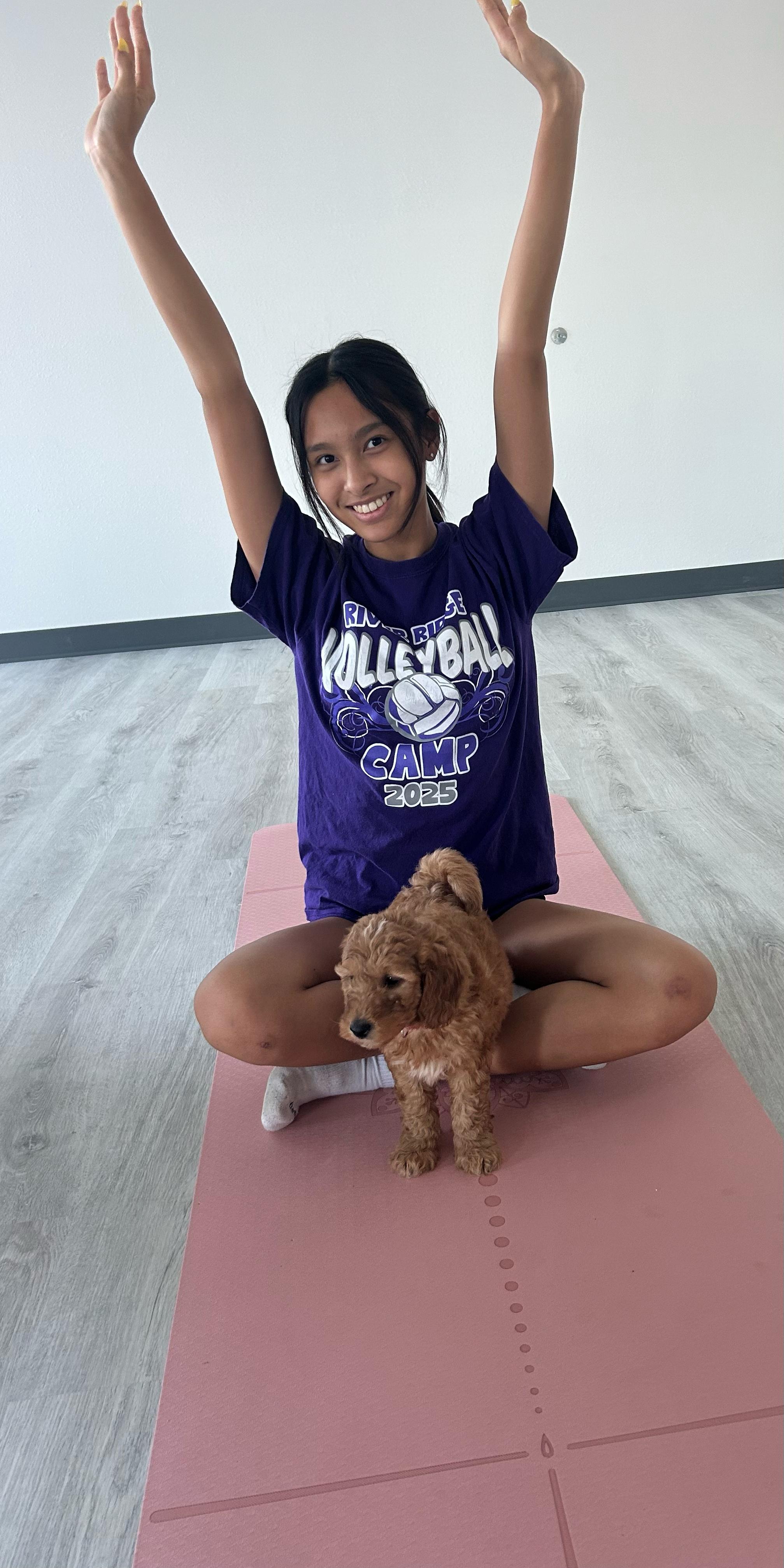 Girl doing yoga pose with Poodle puppy on pink mat