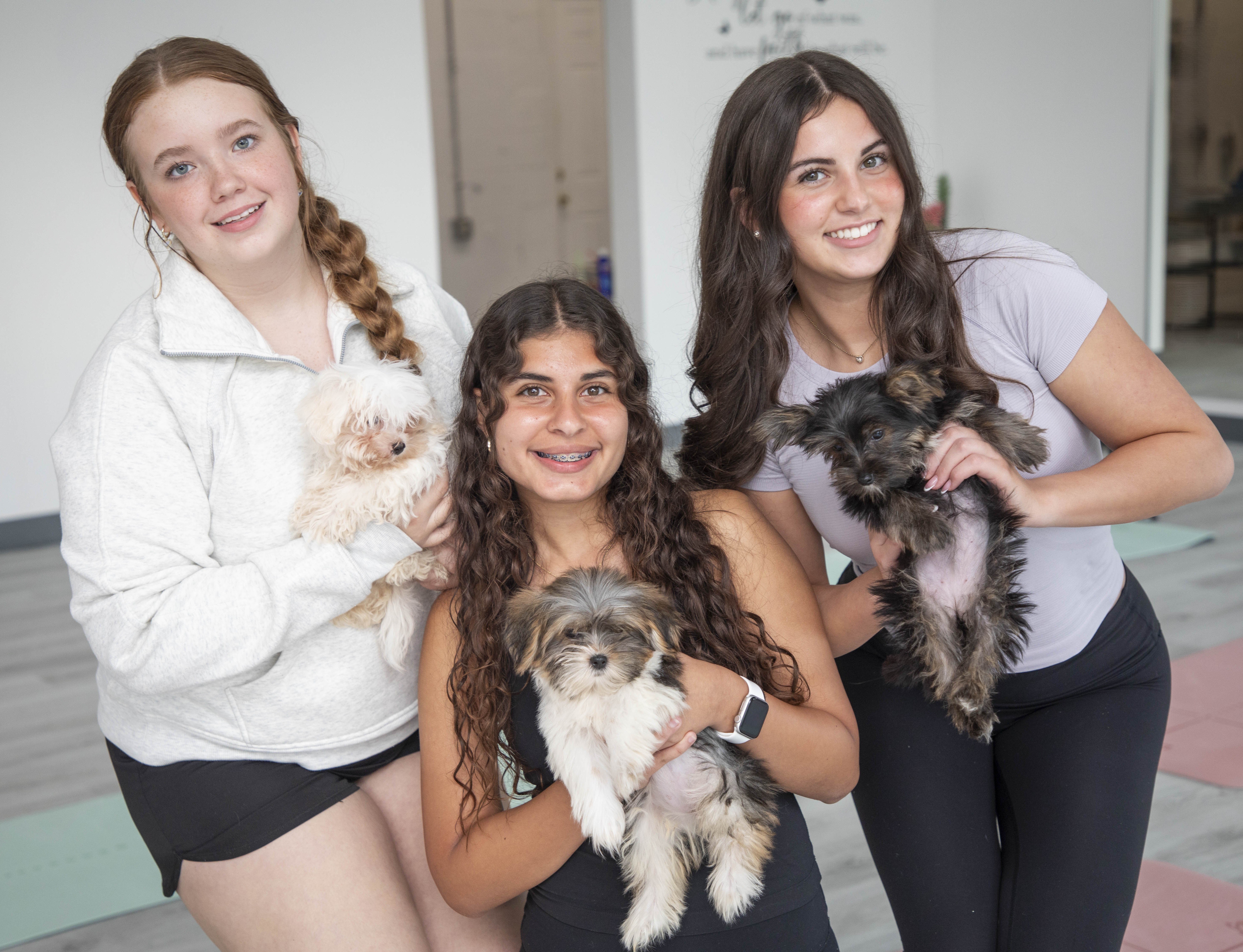 Young girl petting Yorkshire Terrier puppy on mint green mat